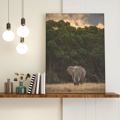 Portrait Canvas Prints - with Hook